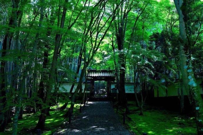 Kyoto-Toji House Lejlighedshotel Eksteriør billede